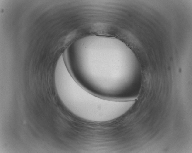 X0000082740080200701261041