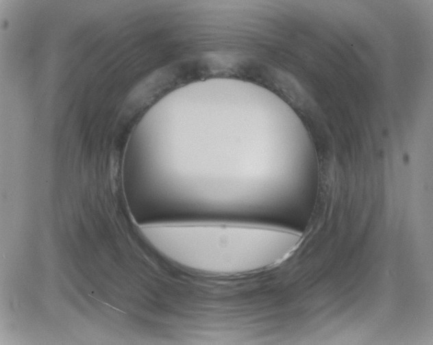 X0000082740082200701261041