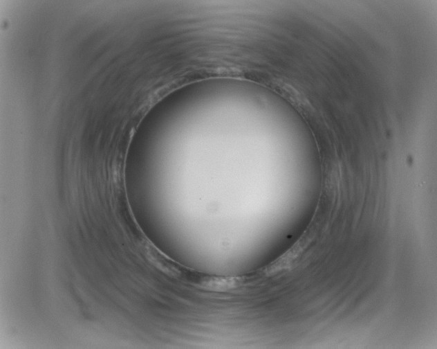 X0000082740084200701261041