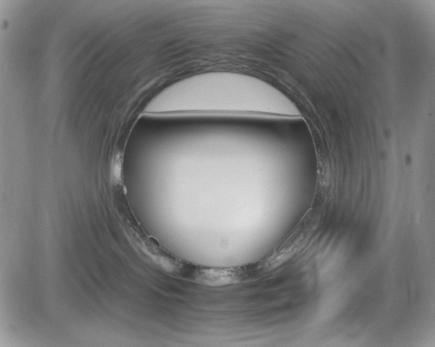 X0000082740095200701261041