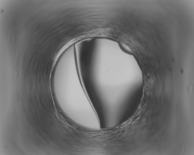 X0000082740100200701261041