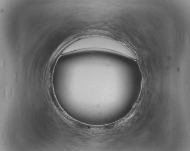 X0000082740101200701261041