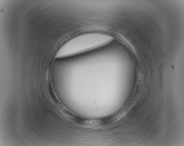 X0000082740117200701261040