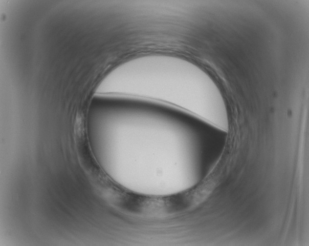 X0000082740123200701261040