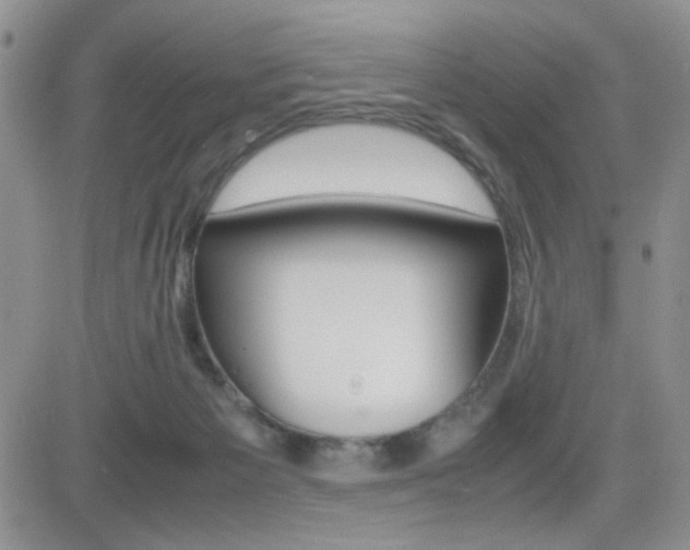 X0000082740125200701261040