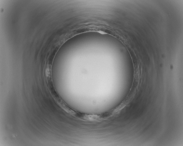 X0000082740137200701261040