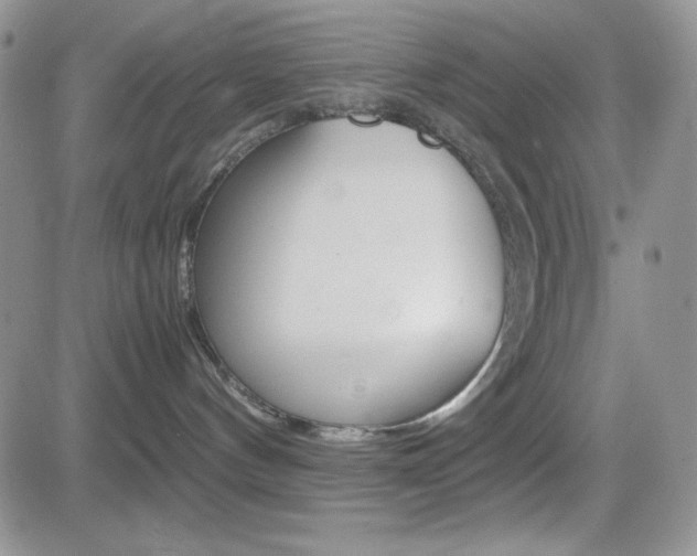 X0000082740144200701261040