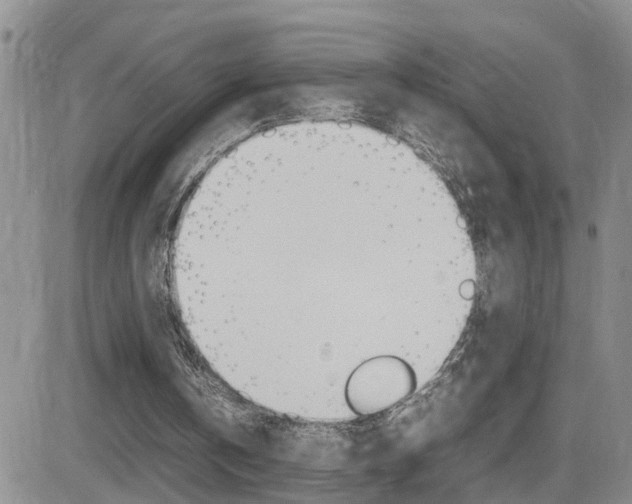 X0000082740146200701261039