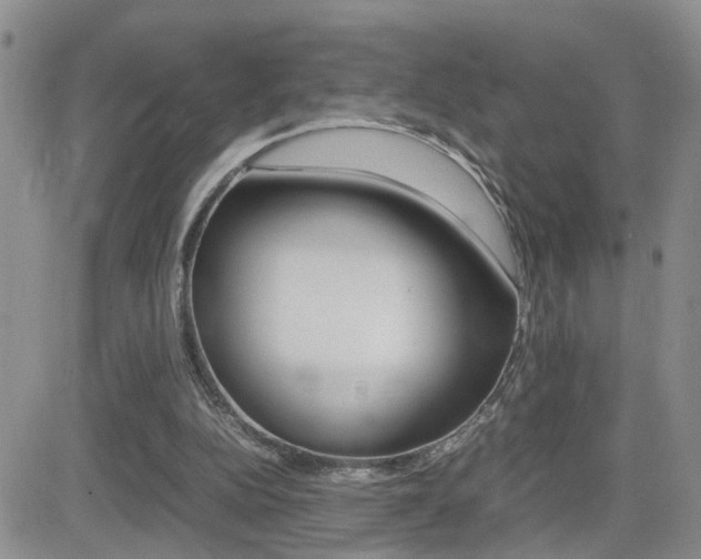 X0000082740152200701261039