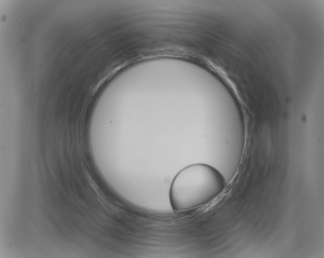 X0000082740154200701261039