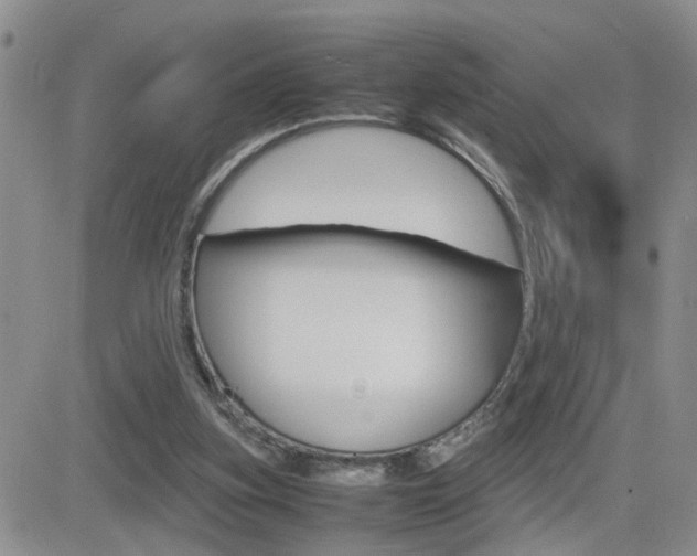 X0000082740155200701261039