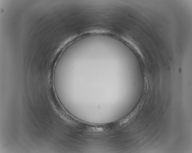 X0000082740159200701261039