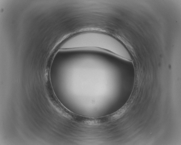 X0000082740160200701261039