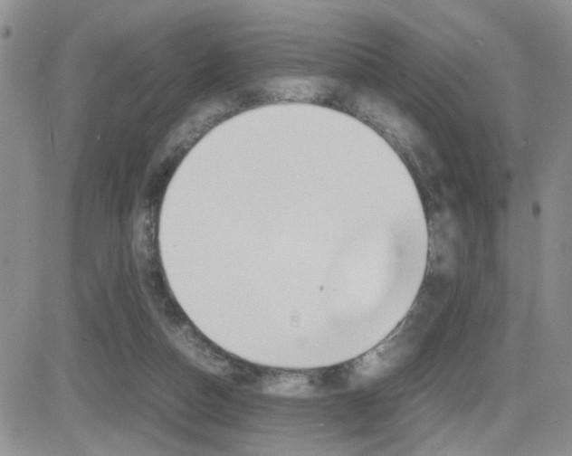 X0000082740162200701261039