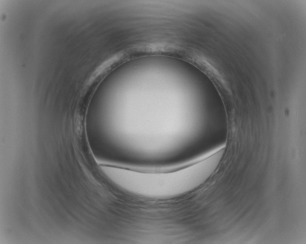 X0000082740164200701261039