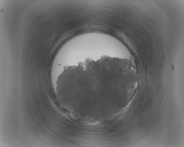 X0000082740167200701261039