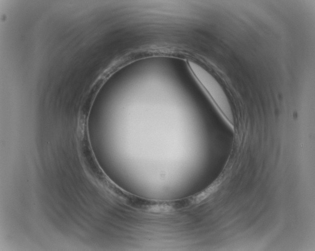X0000082740168200701261039