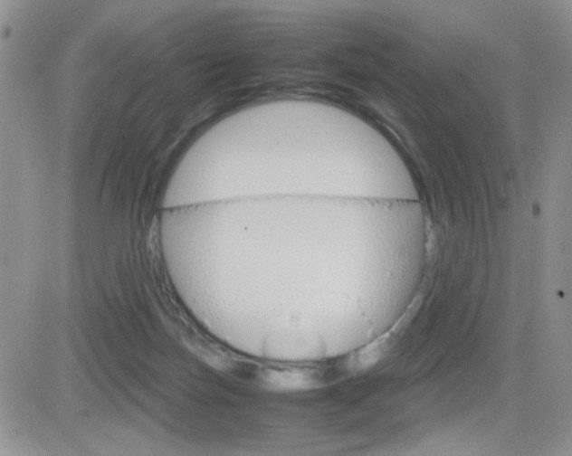 X0000082740171200701261039