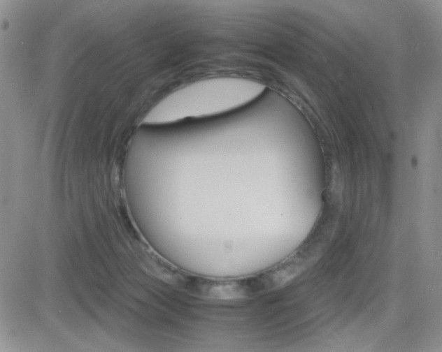 X0000082740173200701261039