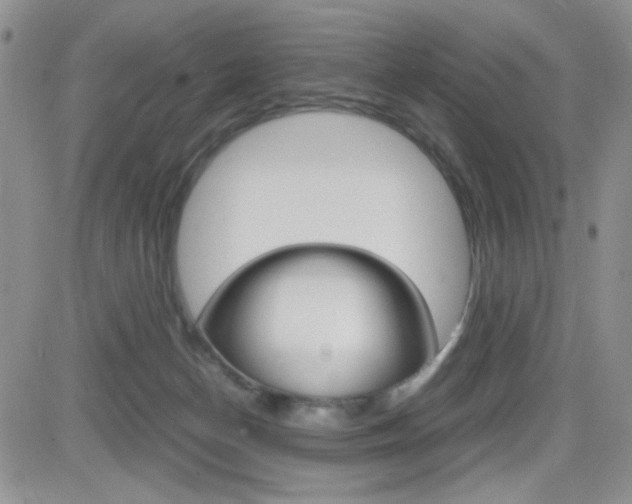 X0000082740174200701261040