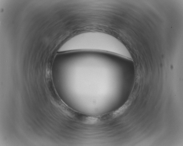 X0000082740176200701261040