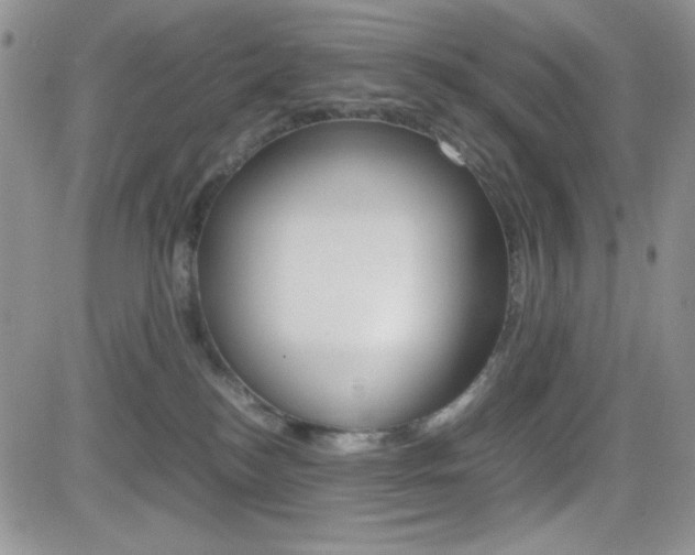 X0000082740184200701261040