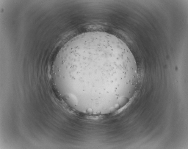 X0000082740187200701261040