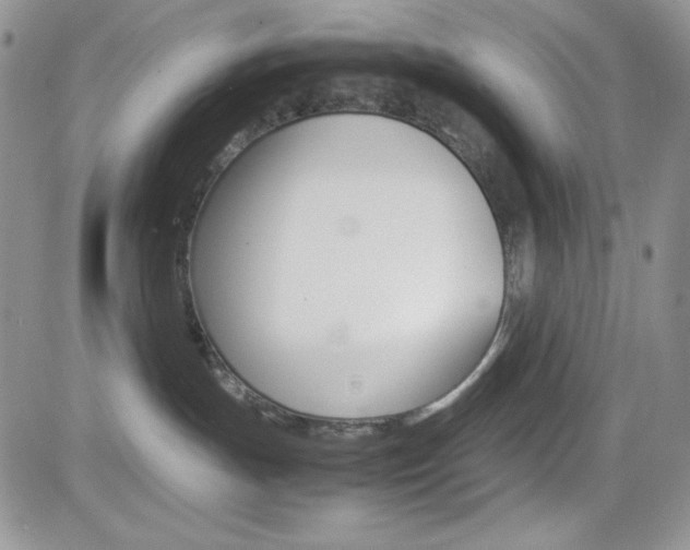 X0000082740191200701261040