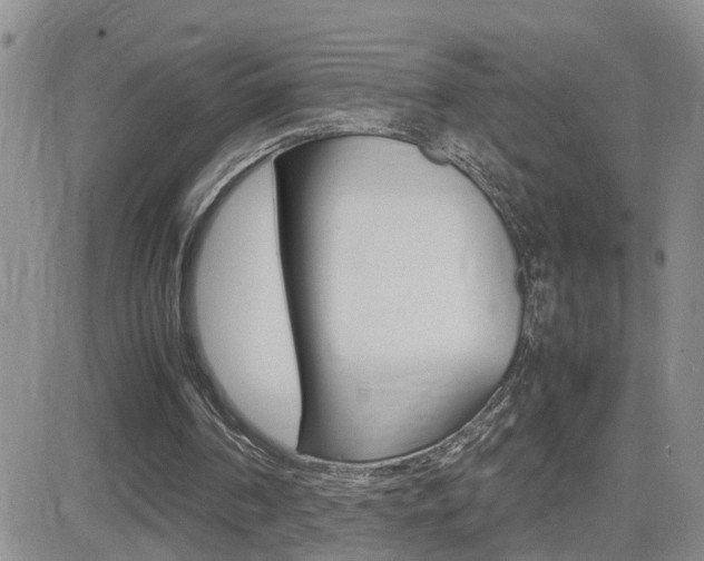 X0000082740194200701261039