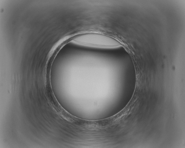 X0000082740200200701261039