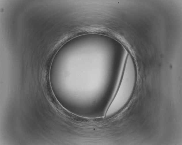 X0000082740201200701261039