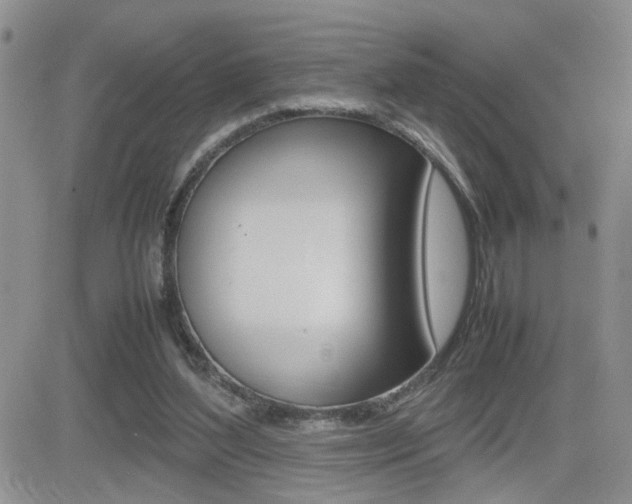 X0000082740204200701261039