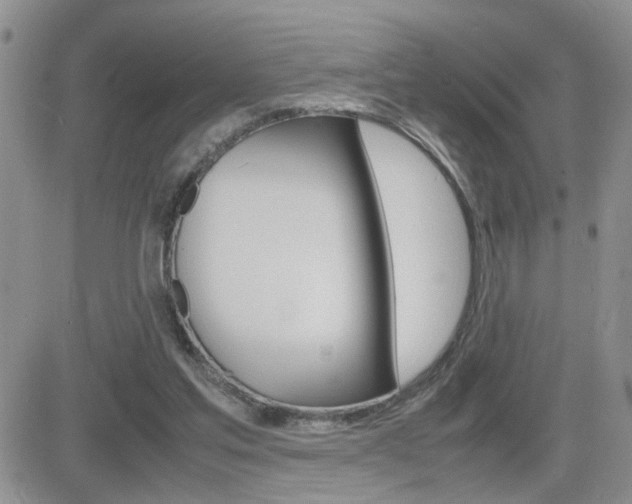 X0000082740205200701261039