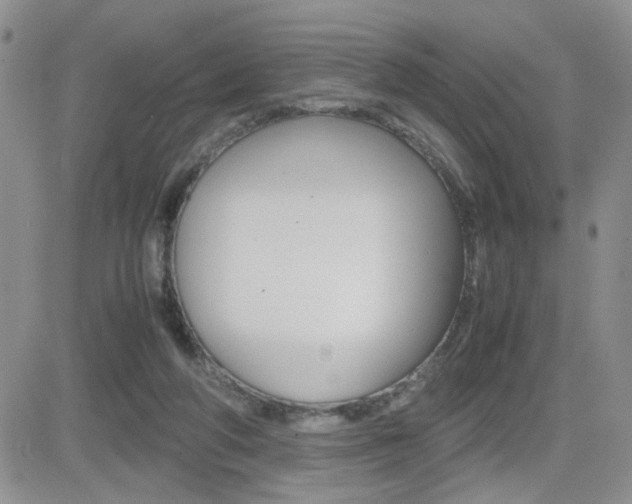 X0000082740210200701261039