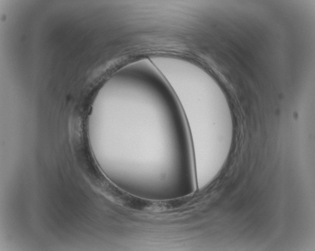 X0000082740211200701261039