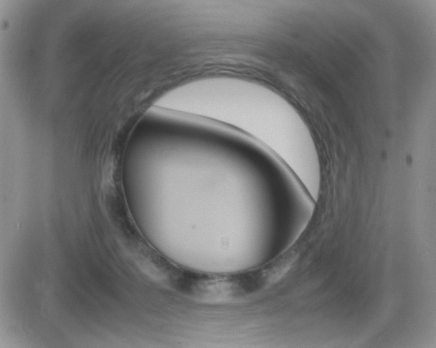 X0000082740219200701261039