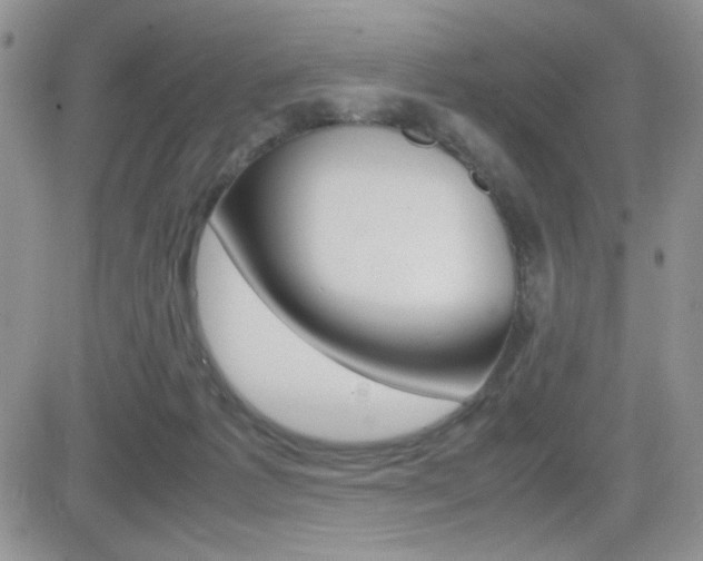 X0000082740221200701261039