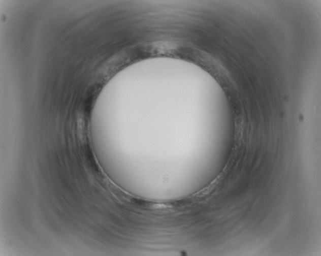 X0000082740222200701261039