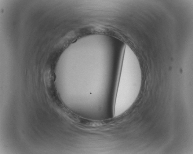 X0000082740223200701261039