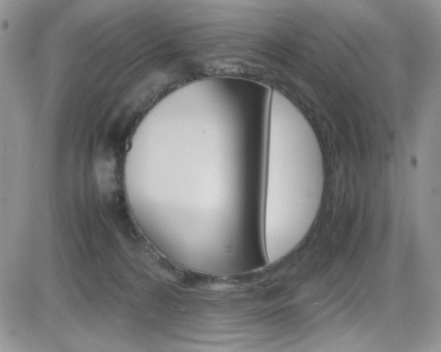 X0000082740224200701261039