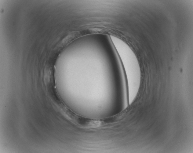 X0000082740227200701261038