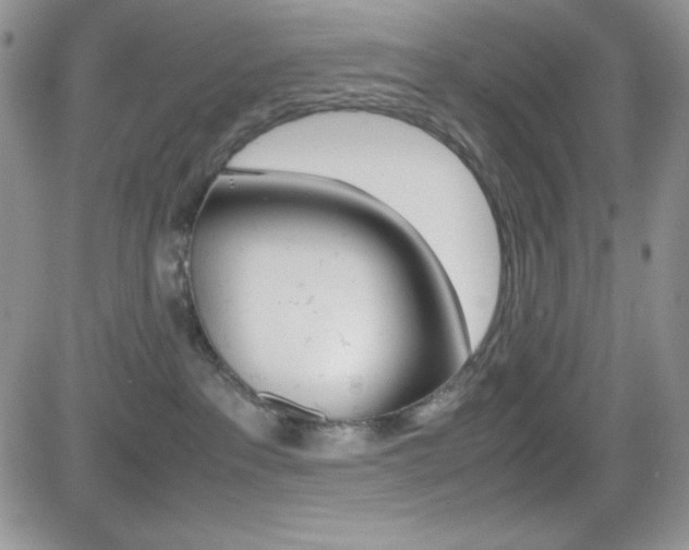 X0000082740237200701261038