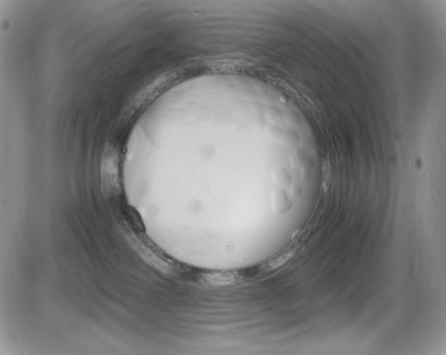 X0000082740238200701261038