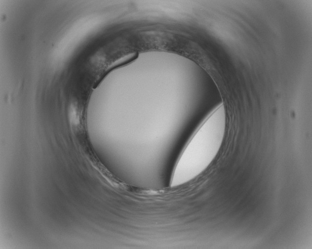 X0000082740239200701261038