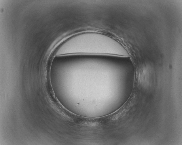 X0000082740247200701261038