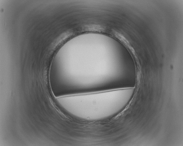X0000082740249200701261038