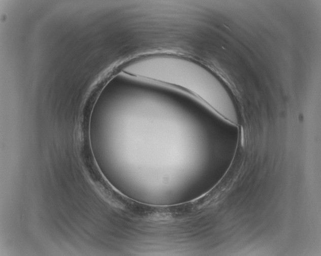 X0000082740252200701261038
