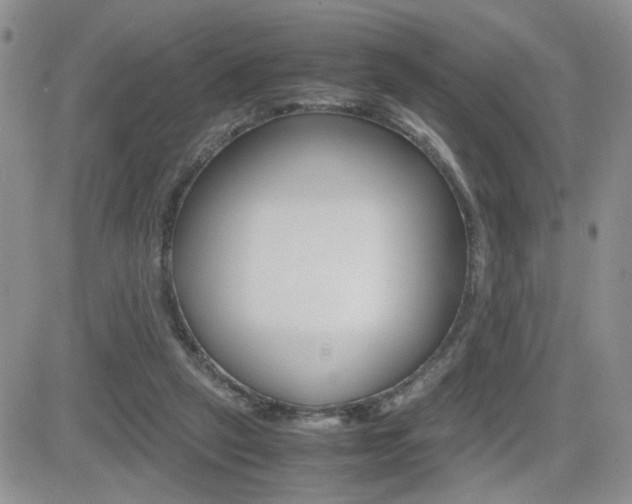 X0000082740257200701261038