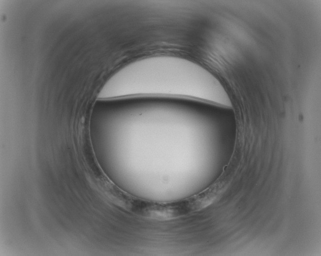 X0000082740263200701261038