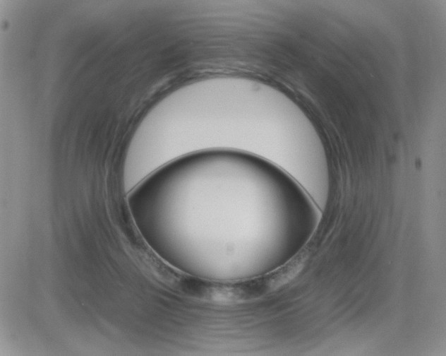 X0000082740264200701261038
